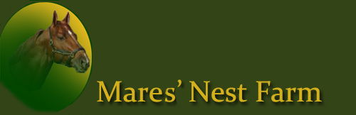 Mares' Nest Farm Mares